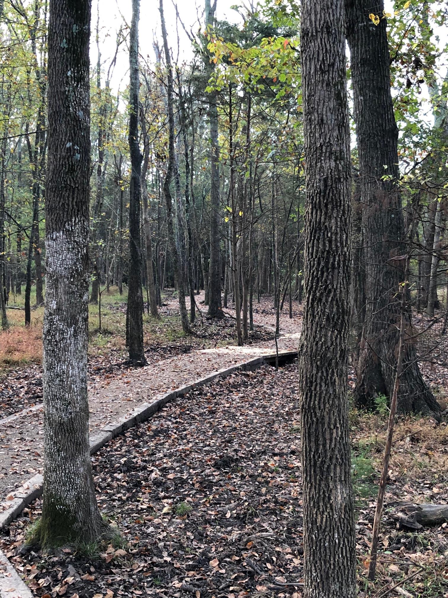 Walking Trail 2