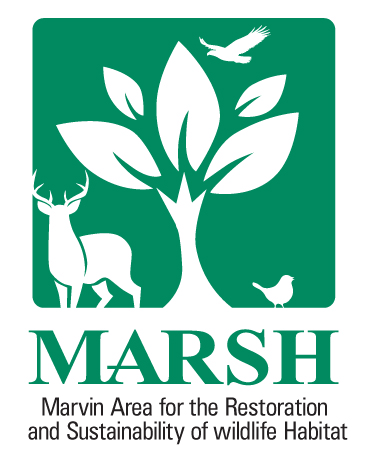 MARSH Logo